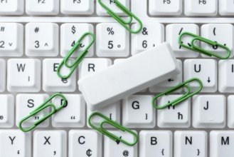 Internet Browsing And Online Research Study, Typing Your Ideas