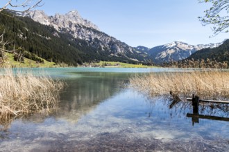 Haldensee in the Tannheimer Tal, Tyrol, Austria, spring, Europe
