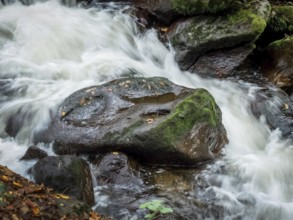 A stream with stones and flowing water. Experience the landscape in nature. Austria