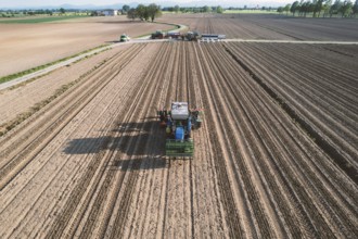 Blue tractor is planting tomatoes in a field, leaving a trail of freshly turned soil behind it as