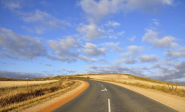 Urban tar road in between wheat fields in South Africa