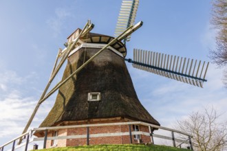 Traditional windmill with thatched roof and wooden construction under a clear blue sky, burlage,