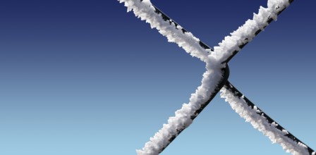 A chain-link fence with hoarfrost