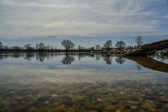 Reflection of trees in calm water surface under a partly cloudy sky, Danube, Bogen, Lower Bavaria