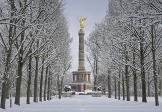 Winter, snow, Siegessäule, Fasanerieallee, Großer Tiergarten, Tiergarten, Mitte, Berlin, Germany,