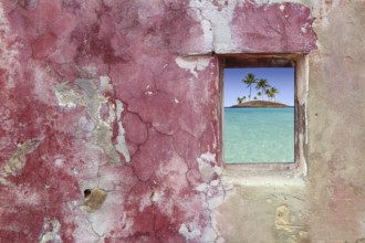 Grunge pink red wall wood window topical palm trees island view