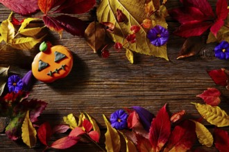 Halloween pumpkin copy space on wooden background backdrop