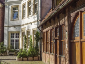 Old buildings standing side by side with plants, white façade and wooden details, Billerbeck,