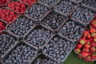 Fresh ripe blueberries and strawberries in a box for sale in a fruit market. Organic fruit, healthy