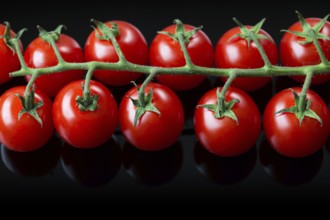 Fresh cherry tomatoes on a black background. Bunch of fresh cherry tomato on a black background