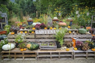Beautiful garden decoration in the country garden in autumn time