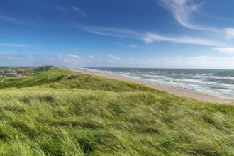 Impression at the Northsea coast in Denmark in summertime. Summertime at the Northsea coast in