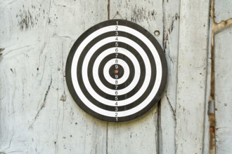 An image of an old dart board