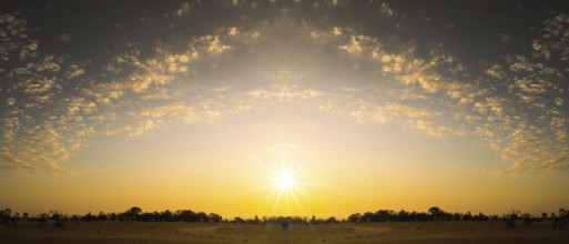 An image of a sunset in the desert