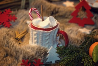 Hot chocolate with marshmallow
