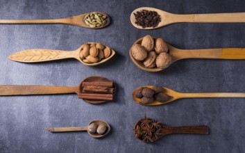 Collection spice