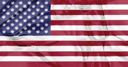 The national United States flag with Marijuana leafs inside, illustration background. concept for