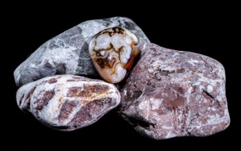 A smooth, polished agate gemstone with intricate banding patterns rests on a group of textured,