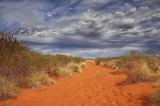 Northern Territory