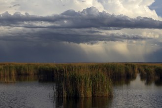 Lake Neusiedl National Park, rain front