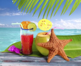 Coconuts cocktails straw tropical caribbean beach with starfish