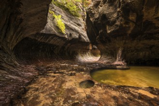 Magnificent Subway gorge landmark in the Zion National Park in Utah, USA, North America