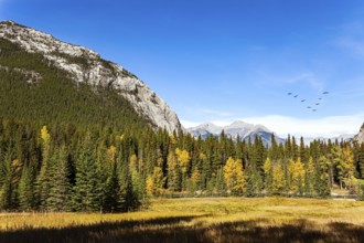 The Banff in the Rocky Mountains. Canada. Sunny day in autumn Indian summer. The mountains are