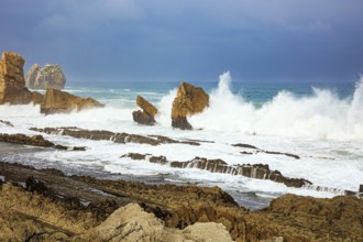 Storm waves break on the coastal rocks. Snow-white sea foam glistens in the dim autumn sun.