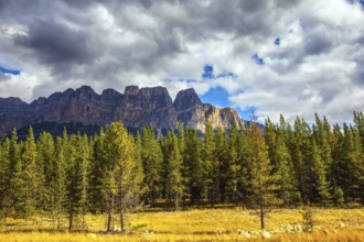 Canada, the Rocky Mountains. Yellow and orange herbs and evergreen fir-trees. Fine Indian summer in