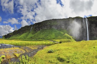 The warm summer day in Iceland. Selyalandfoss waterfall and picturesque flowering fields and