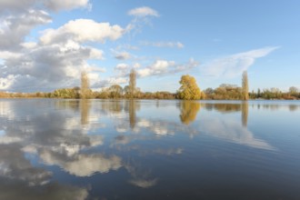 Flooded meadow after heavy rains. Autumn landscape. Bas-Rhin, Collectivite europeenne d'Alsace,
