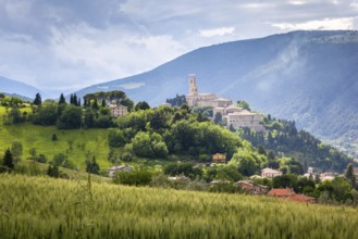 An image of Camerino in Italy Marche over colourful fields