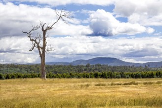 An image of a beautiful Tasmania landscape