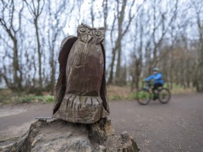 Wooden owl on a path in the haunted forest on the cliffs leading to the Baltic Sea, Nienhagen,