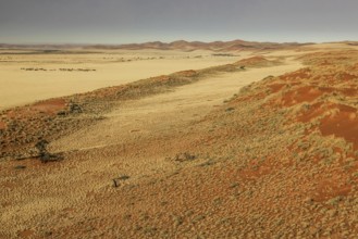 Aerial view of the Sossusvlei desert in the Namib Naukluft National Park, Namibia, Africa