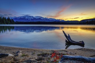 Beautiful autumn landscape scene in mountain in background in Jasper National Park west Canada