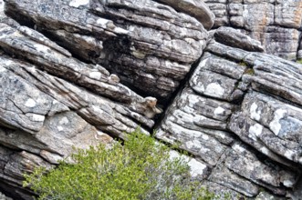 Cracks in the ancient rocks of the Grampians Ranges in Victoria, Australia, Oceania