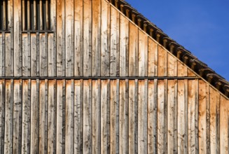 Symbolic photo, building is clad in larch wood, Hesse, Germany, Europe