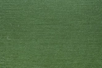 Green abstract texture for background. Close-up detail macro photography view of texture decoration
