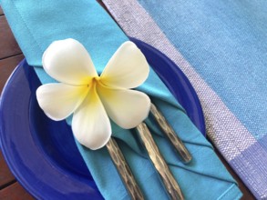 Food decoration with white plumeria rubra flower, Sri Lanka. Blue food decoration