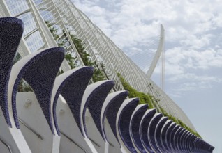 Outside the City of Arts and Science in Valencia, Spain, Europe