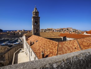Bell tower, Old Town of Dubrovnik, Dalmatia, Croatia, Europe