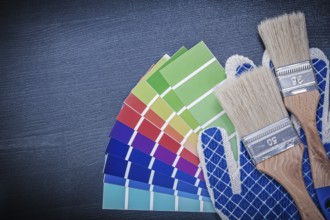 Paintbrushes pantone fan safety gloves on wooden board