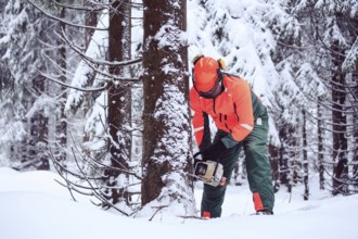 A woodcutter at work in the winter forest