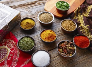 Indian cuisine spices mix as coriander curry cardamom cumin