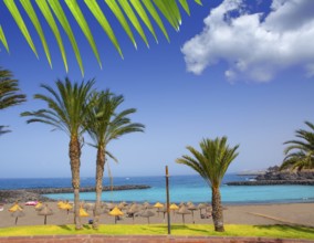 Adeje coast Las americas Beach in south Tenerife at Canary Islands