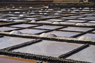 Sea salt. Traditional production from ocean water. Salinas del Carmen. Fuerteventura