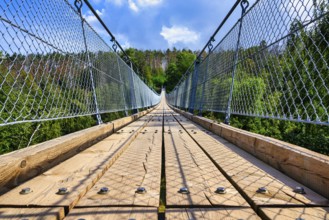 A view of the Hohen Schrecke suspension bridge on a summer's day