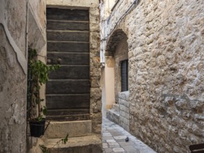 Alley in the old town centre, Dubrovnik, Dalmatia, Croatia, Europe