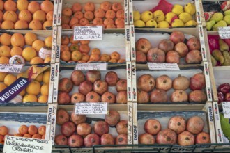 Fruit stand with various fruits, Kempten, Allgäu, Swabia, Bavaria, Germany, Europe